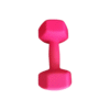 Ladies matt hexagonal dumbbells