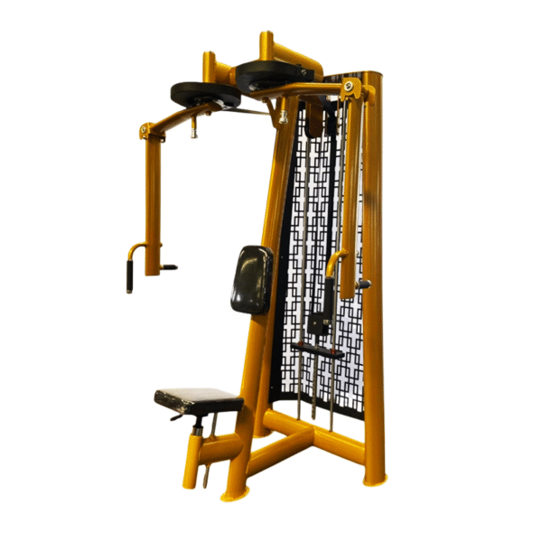 Reverse Fly / Rear Delt