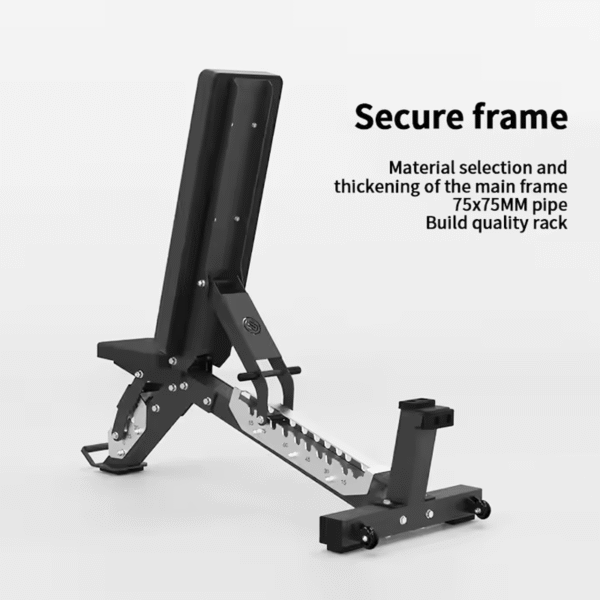 Adjustable Dumbbell Bench