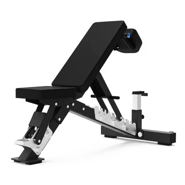 Adjustable Dumbbell Bench