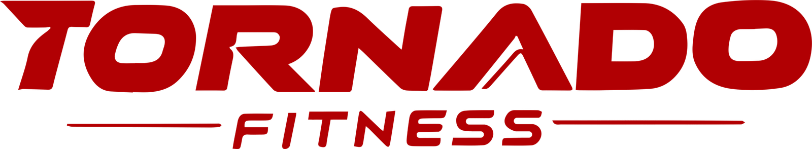 tornado-fitness.com